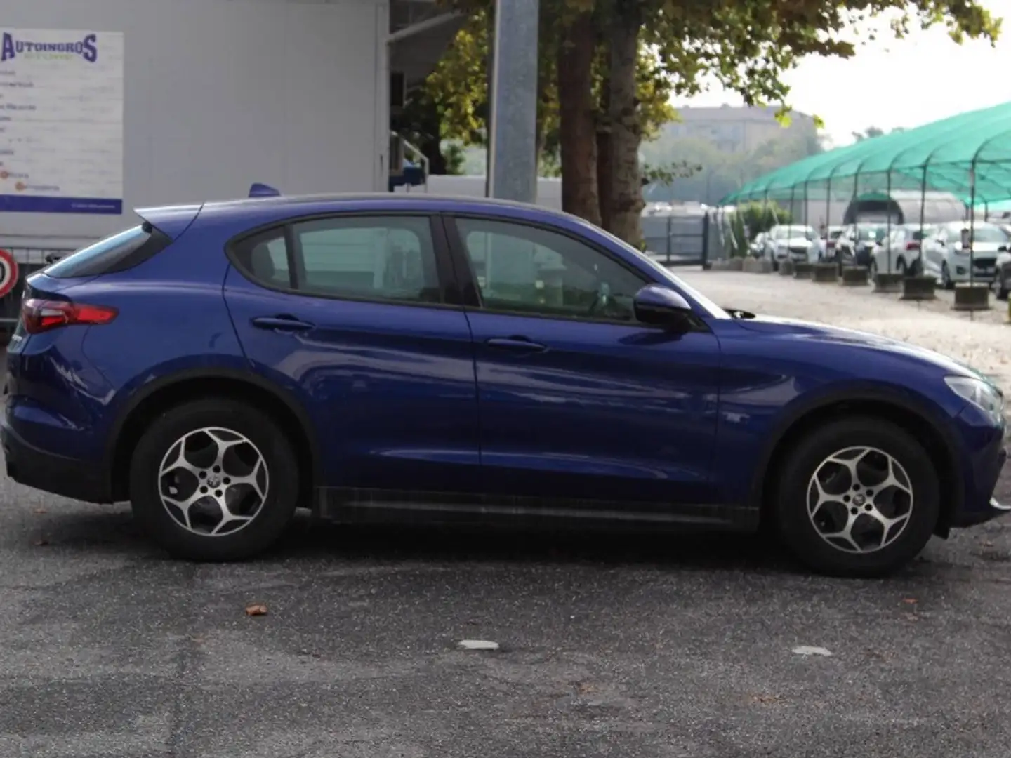 Alfa Romeo Stelvio Stelvio 2.2 t Business Q4 190cv auto Blu/Azzurro - 1