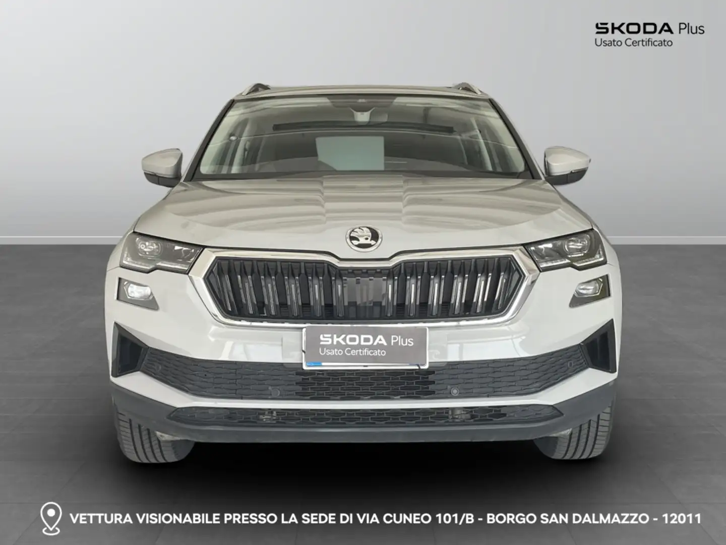Skoda Karoq - Karoq 2.0 TDI EVO SCR 115 CV DSG Style Grigio - 2