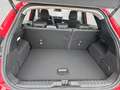 Ford Comfort / KomfortPaket / WinterPaket Rojo - thumbnail 15
