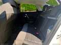 Citroen C4 X PureTech 130 S&S EAT8 Shine Bianco - thumbnail 12