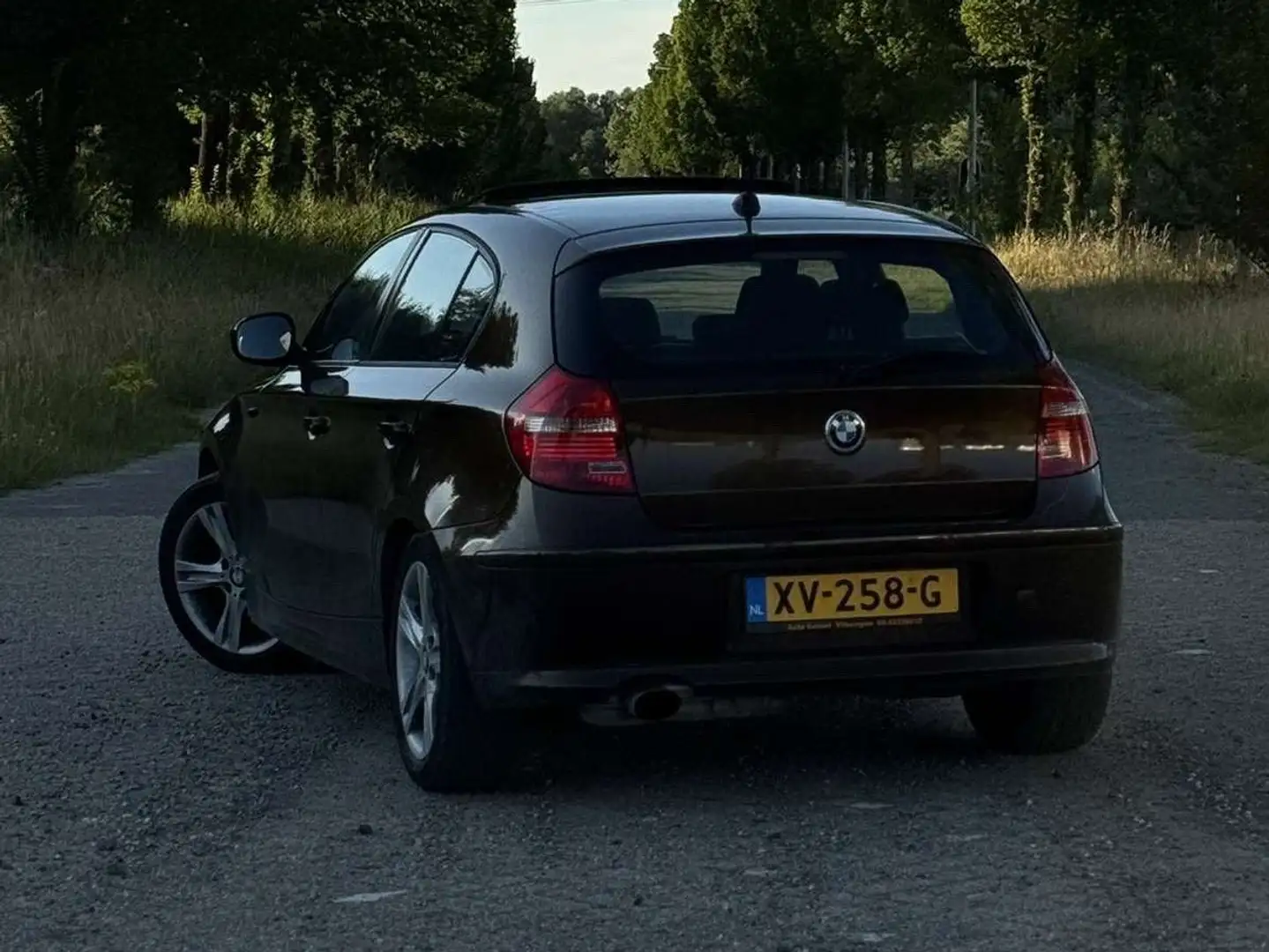 BMW 116 116i Business Line Bruin - 2