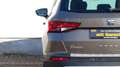 SEAT Ateca Xcellence 4Drive|VOLLAUSSTATTUNG|1J. Gar. Braun - thumbnail 9