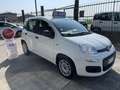 Fiat Panda 1.3 mjt 16v 80 cv N1 4 POSTI-IVA DEDUCIBILE Bianco - thumbnail 6