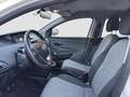 Lancia Ypsilon 1.2 69cv Elefantino Blu 2019 Bianco - thumbnail 6