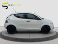 Lancia Ypsilon 1.2 69cv Elefantino Blu 2019 Bianco - thumbnail 4