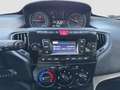 Lancia Ypsilon 1.2 69cv Elefantino Blu 2019 Bianco - thumbnail 13