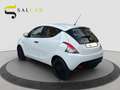 Lancia Ypsilon 1.2 69cv Elefantino Blu 2019 Blanc - thumbnail 16