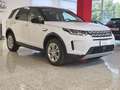 Land Rover Discovery Sport Discovery Sport 2.0td4 163cv s Bianco - thumbnail 4