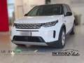 Land Rover Discovery Sport Discovery Sport 2.0td4 163cv s Bianco - thumbnail 1