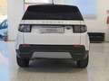 Land Rover Discovery Sport Discovery Sport 2.0td4 163cv s Bianco - thumbnail 7