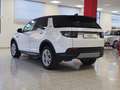 Land Rover Discovery Sport Discovery Sport 2.0td4 163cv s Bianco - thumbnail 6