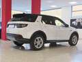 Land Rover Discovery Sport Discovery Sport 2.0td4 163cv s Bianco - thumbnail 5