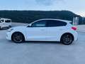 Ford Focus ST-Line 120cv Co-Pilot 1Proprietario Finanziabile Blanc - thumbnail 6