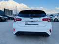 Ford Focus ST-Line 120cv Co-Pilot 1Proprietario Finanziabile Blanc - thumbnail 2