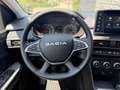 Dacia Jogger TCE 110 Extreme SHZ Totwinkel Weiß - thumbnail 8