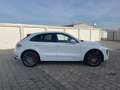 Porsche Macan GTS / 1. Hand / Techart / DE Weiß - thumbnail 8
