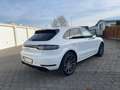 Porsche Macan GTS / 1. Hand / Techart / DE Weiß - thumbnail 9
