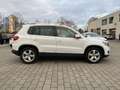 Volkswagen Tiguan *Verkauf nur an Händler* Weiß - thumbnail 8