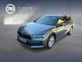 Skoda Superb Selection TDI DSG Grau - thumbnail 1