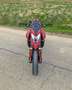 Ducati Hypermotard 950 RED - thumbnail 3