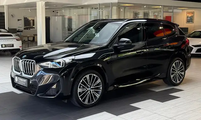 BMW X1 view 2