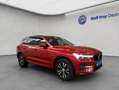 Volvo XC60 XC60 B4 Momentum-Pro Aut Glasd Standh PilotAssist Rot - thumbnail 7