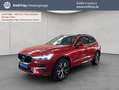 Volvo XC60 XC60 B4 Momentum-Pro Aut Glasd Standh PilotAssist Rot - thumbnail 1