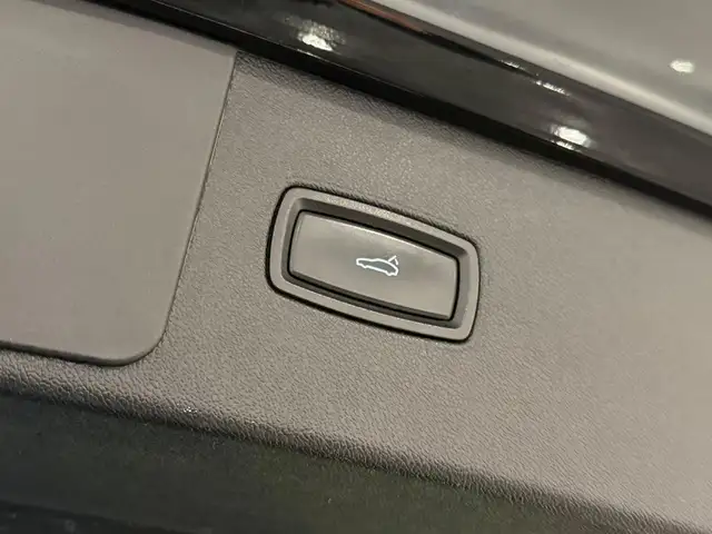 Porsche Cayenne E-Hybrid OPF**HEAD-UP**ACC**RFK**LH**SHZ** Ansicht 45