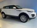 Land Rover Range Rover Evoque 2.0 td4 Pure Business Premium 150 CV Auto Weiß - thumbnail 2