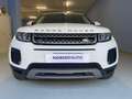Land Rover Range Rover Evoque 2.0 td4 Pure Business Premium 150 CV Auto Weiß - thumbnail 3