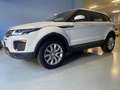 Land Rover Range Rover Evoque 2.0 td4 Pure Business Premium 150 CV Auto Weiß - thumbnail 1