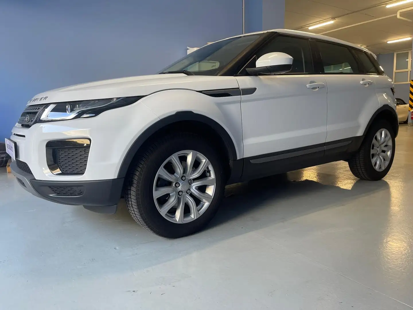 Land Rover Range Rover Evoque 2.0 td4 Pure Business Premium 150 CV Auto Weiß - 1