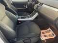 Land Rover Range Rover Evoque 2.0 td4 Pure Business Premium 150 CV Auto Weiß - thumbnail 9
