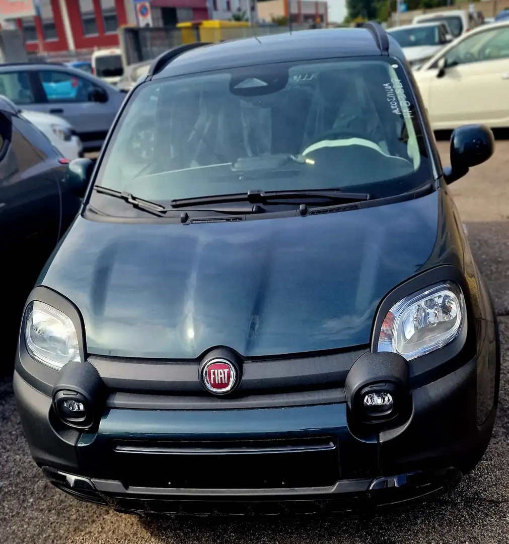 Fiat Panda III 2024 Pandina 1.0 Firefly Hybrid s&s Grün - 2