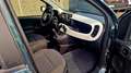 Fiat Panda III 2024 Pandina 1.0 Firefly Hybrid s&s Grün - thumbnail 14