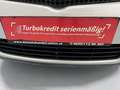Toyota Corolla Verso 2,0 D-4D Linea Luna Ds. * SOFORT FINANZIERUNG &... Grau - thumbnail 11