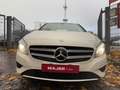 Mercedes-Benz A 200 A 200 CDI*BI-XENON*CAM*TEMPO* Weiß - thumbnail 2