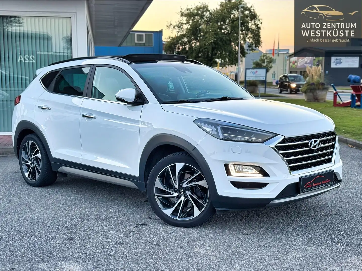 Hyundai TUCSON 2.0 CRDi Premium 4WD Pano AHK 360° 4xSHZ Blanc - 1