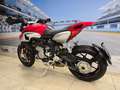 MV Agusta Rivale 800 Km 8100 - thumbnail 3