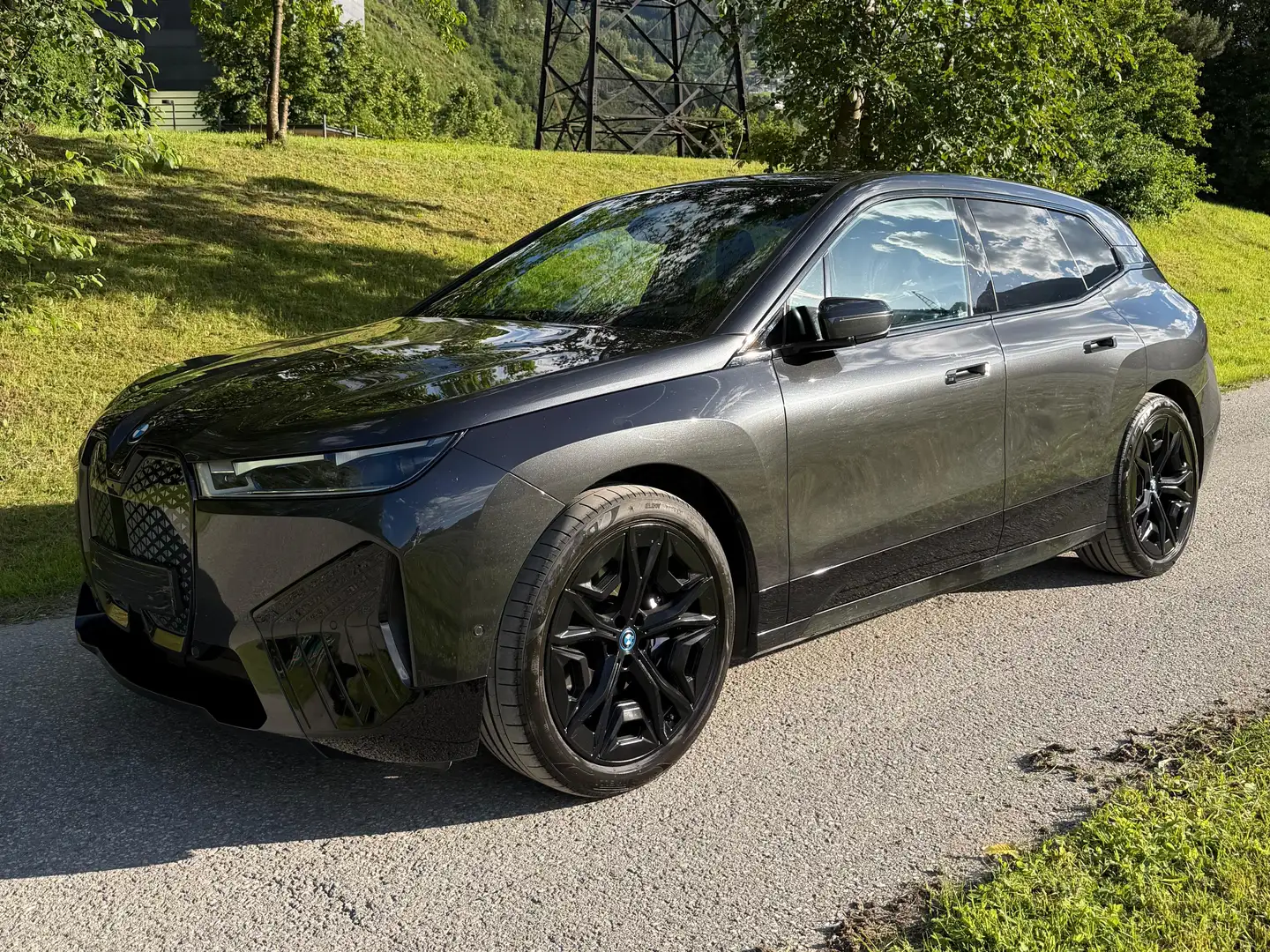 BMW iX iX xDrive40 71kWh Grau - 1