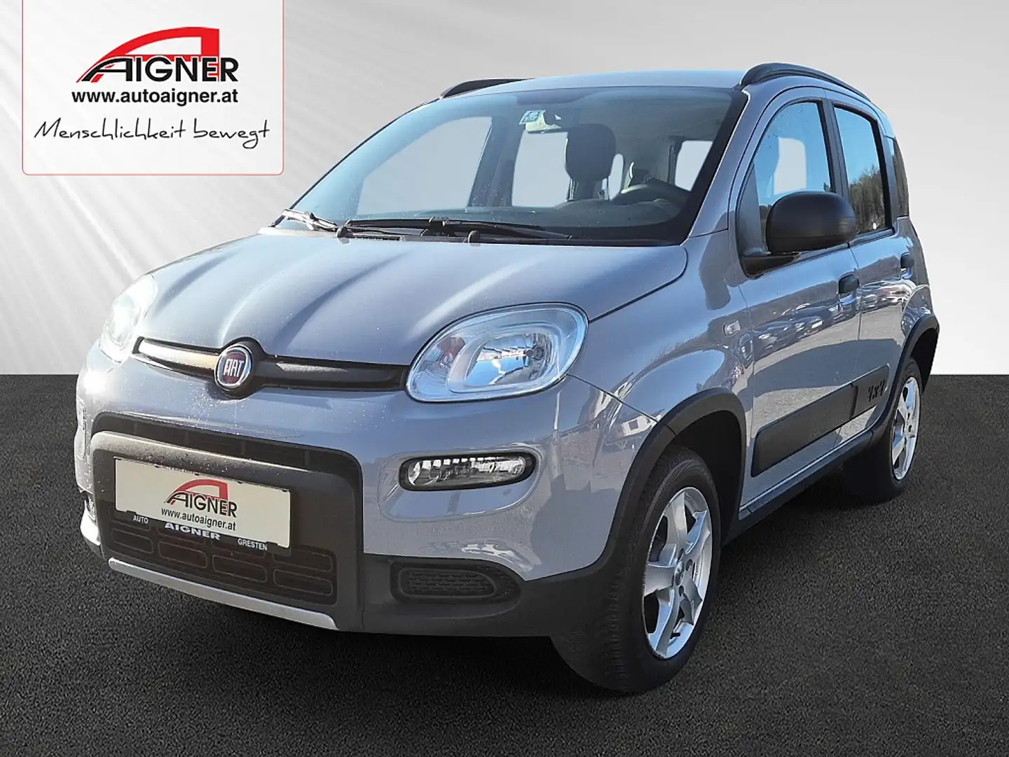 Fiat Panda Panda TwinAir 85 4x4 Wild Grau - 1