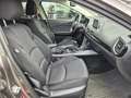 Mazda 3 Mazda3 Sport G100 Attraction Braun - thumbnail 12