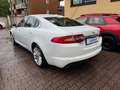 Jaguar XF 2.2 D 190 CV Bianco - thumbnail 4