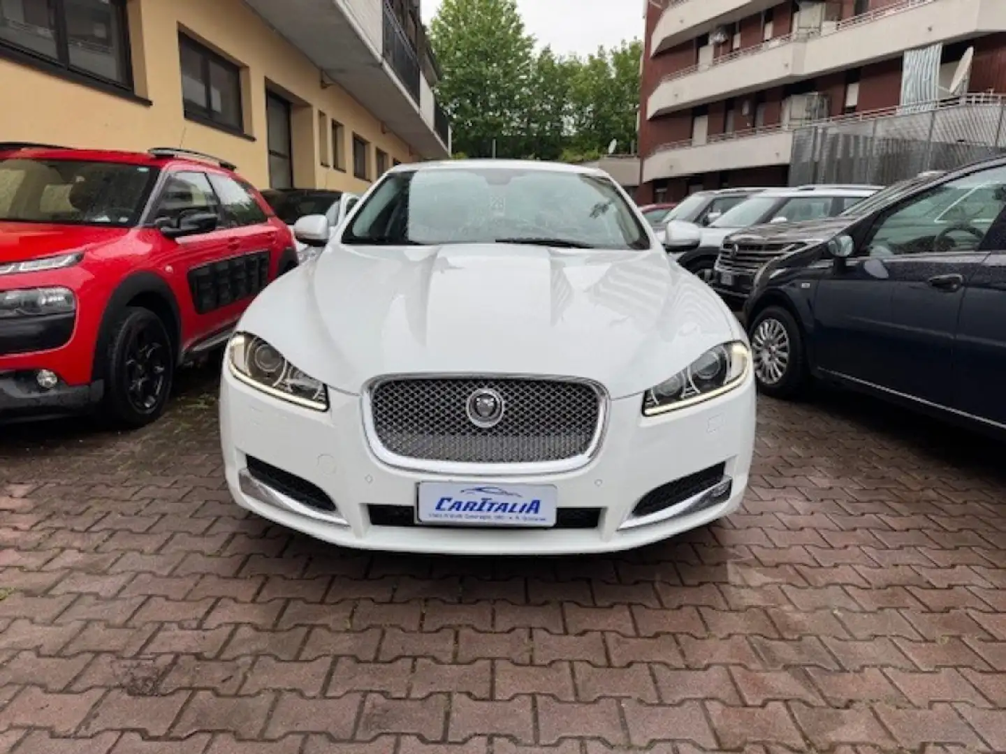 Jaguar XF 2.2 D 190 CV Bianco - 2