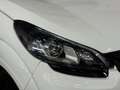 Ligier JS 50 Sport, DCI, Multimedia, RFK, Inkl Lieferung Blanco - thumbnail 6