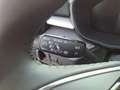 Skoda Fabia 130 Jahre Selection Kamera SmartLink Sitzheizg.... Grigio - thumbnail 29