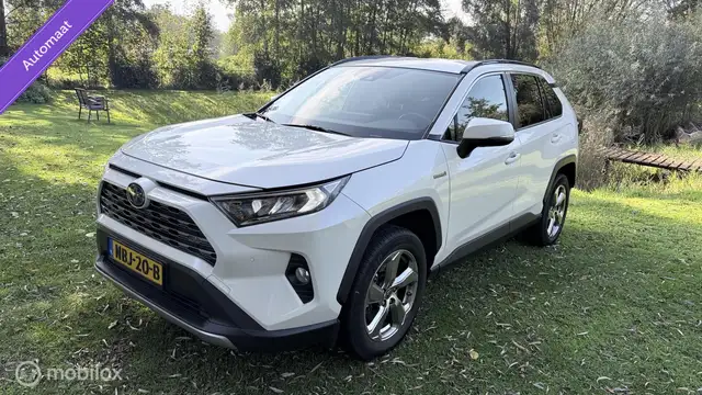 Toyota RAV4 Hybrid Automaat met een beetje diefstalschade