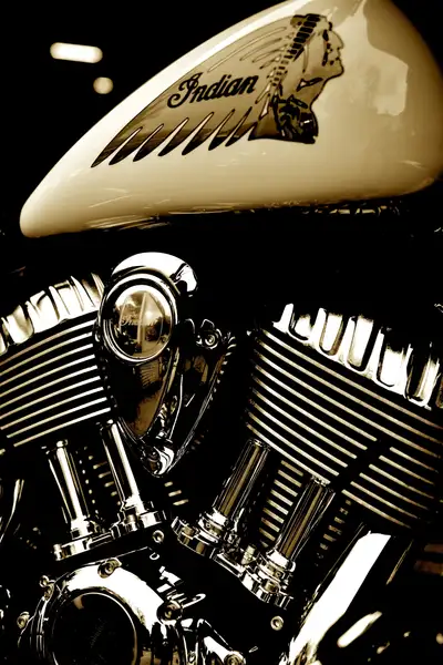 Indian Chieftain - foto 8