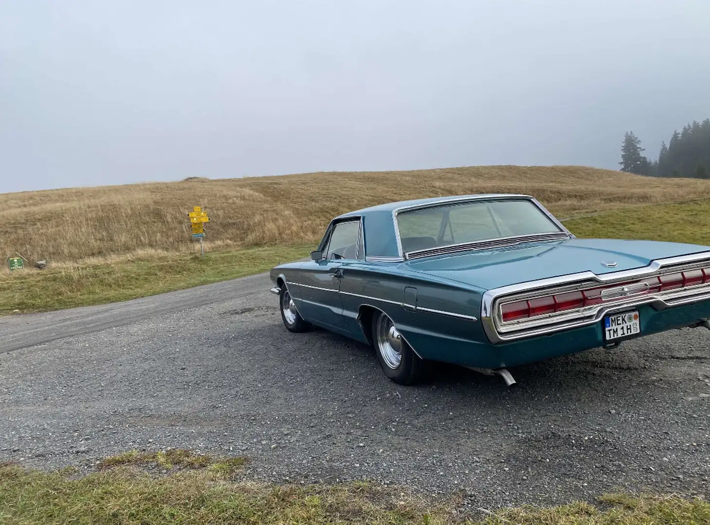 Ford Thunderbird Landau - 2