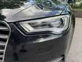 Audi A3 Sportback 1.6 tdi Business 110cv Euro 6B Nero - thumbnail 10